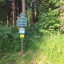 Das Hochmoor „Großer Kranichsee“